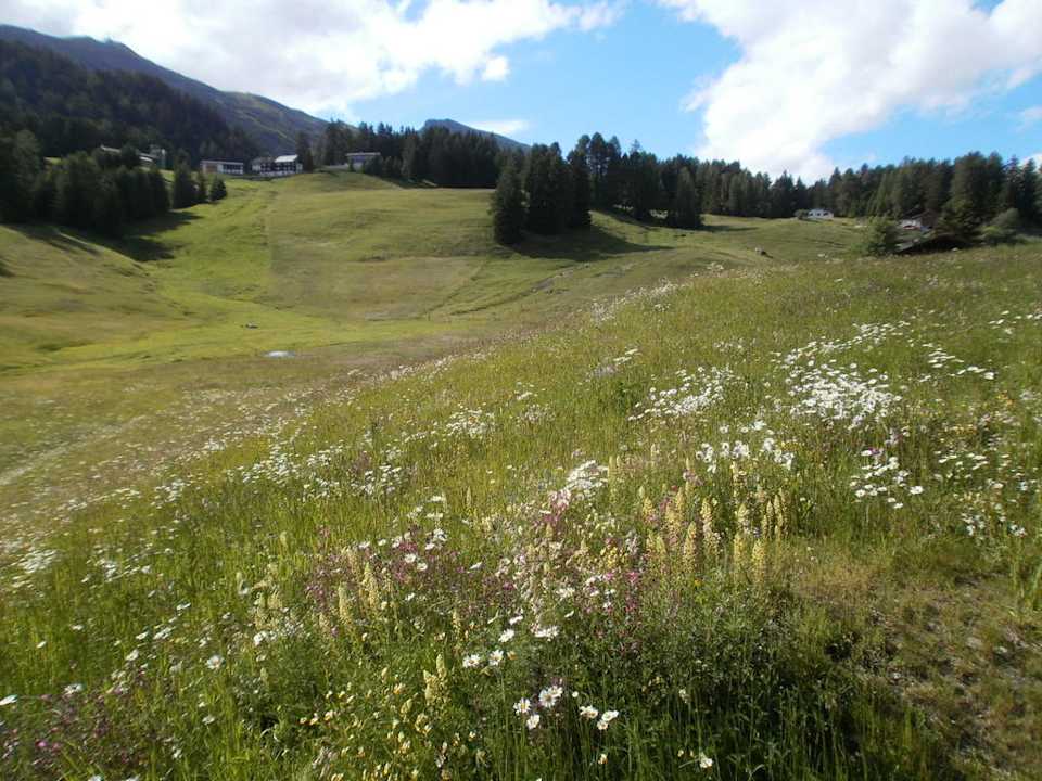 Der Blick aus unserem Badzimmer Maiensässhotel Guarda Val