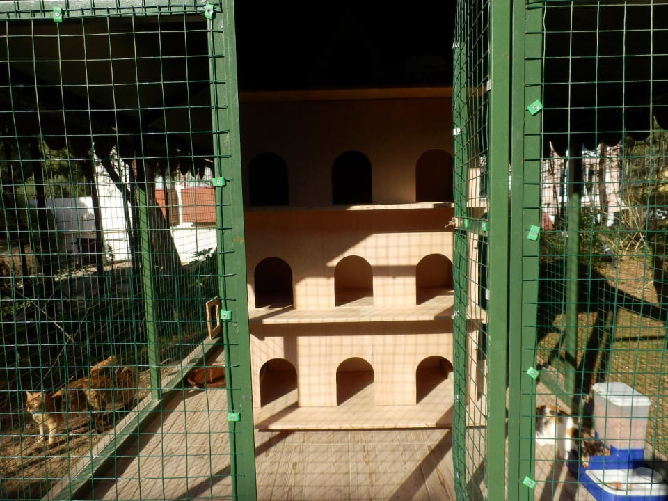 Katzenhaus Sirene Belek Hotel