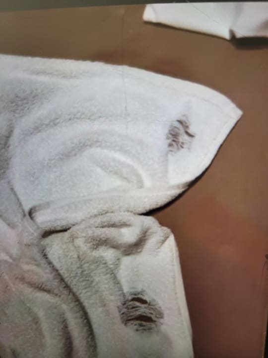 Zimmer Well Palace Side