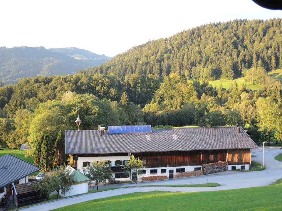 Ausblick Appartementhaus Fischbacher - Bauernhof Grosswolfing