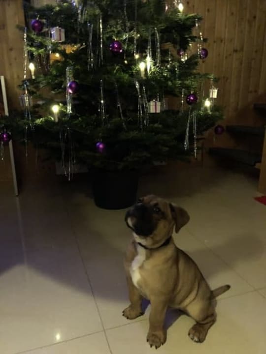 Sonstiges Ferienanlage Vierjahreszeiten