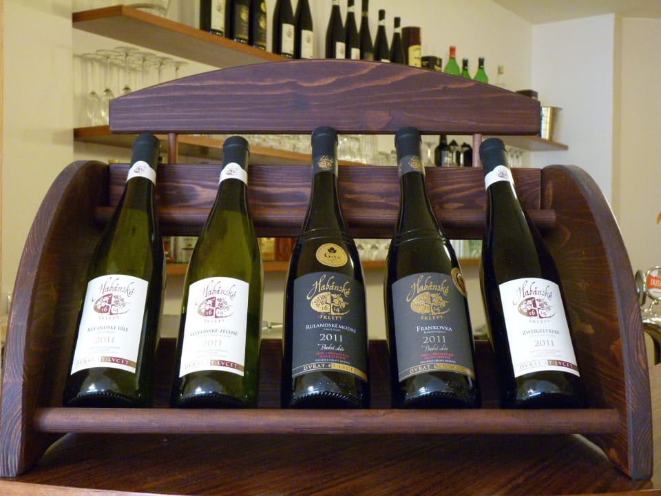 Nabídka kvalitních vín Hotel Art