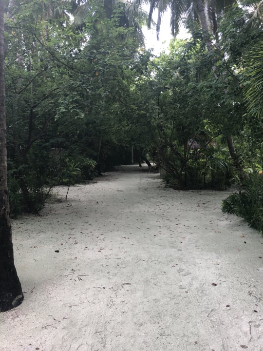 Gartenanlage Summer Island Maldives
