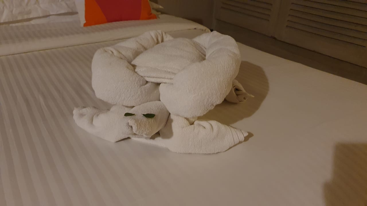 Zimmer Adaaran Club Rannalhi - All Inclusive