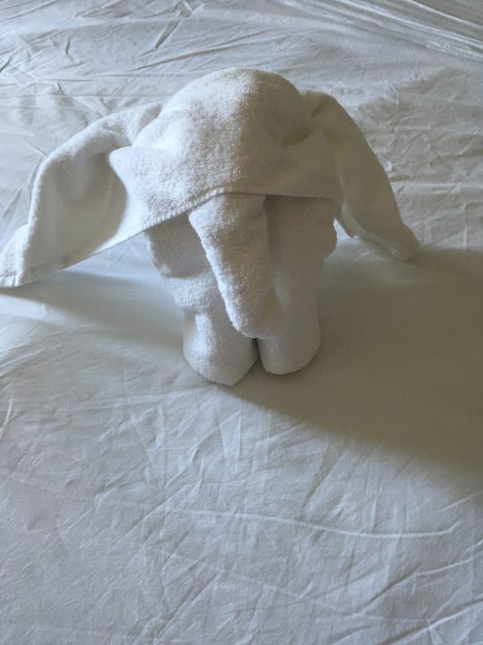 Zimmer TUI BLUE Oceanis Beach and Spa Resort