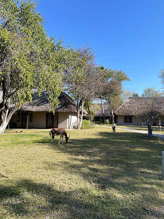 Gartenanlage Mokuti Etosha Lodge