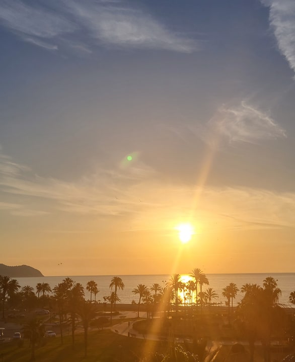 Ausblick Hipotels Cala Millor Park