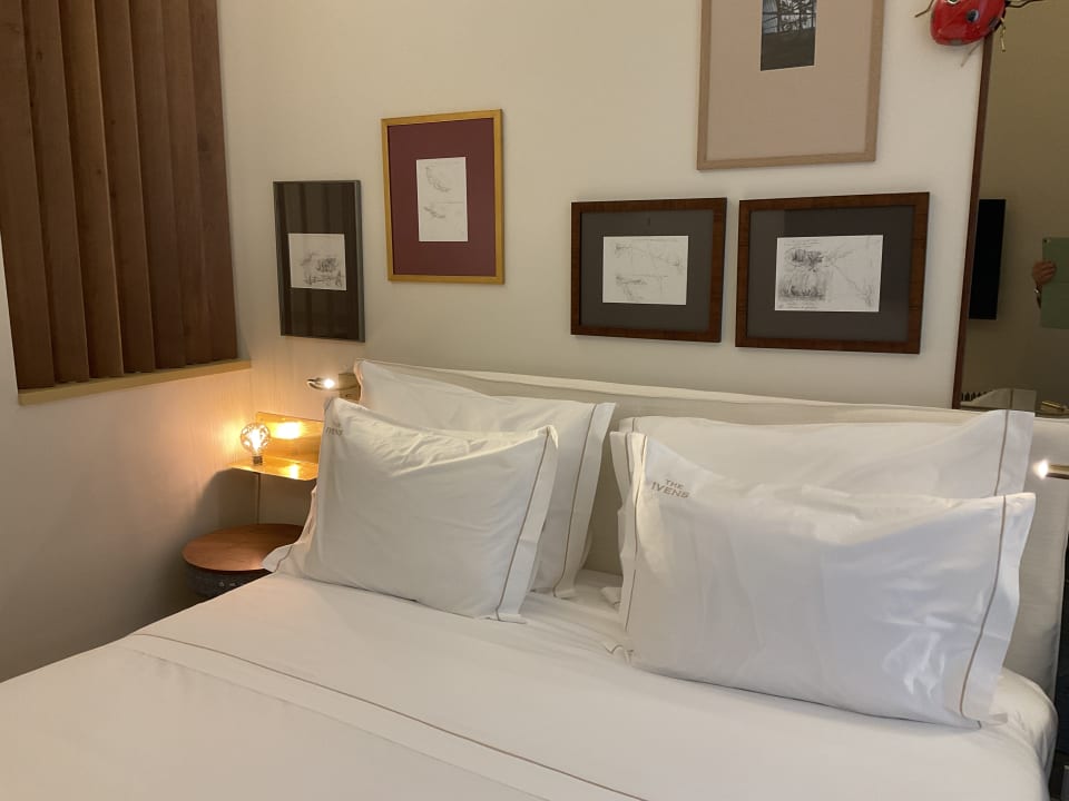 Zimmer The Ivens, Autograph Collection