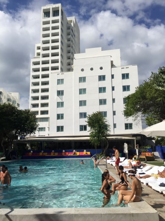 Pool Hotel The Shore Club