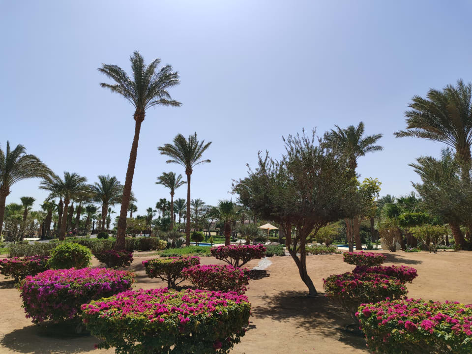 Gartenanlage Steigenberger ALDAU Beach Hotel