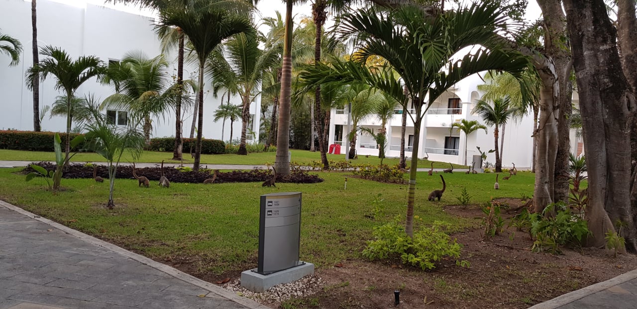 Gartenanlage Hotel Riu Tequila