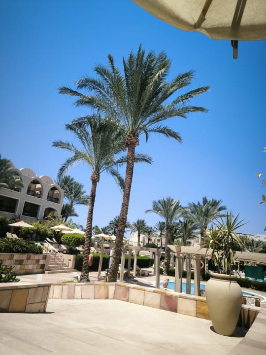 Pool Hotel JAZ Makadi Star & Spa