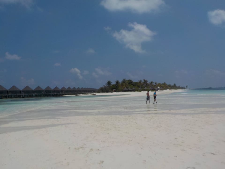 Auf der Sandbank Kuredu Island Resort & Spa