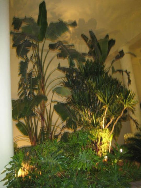 Neben dem Eingang zum Restaurant Palavrion Palm Beach Resort