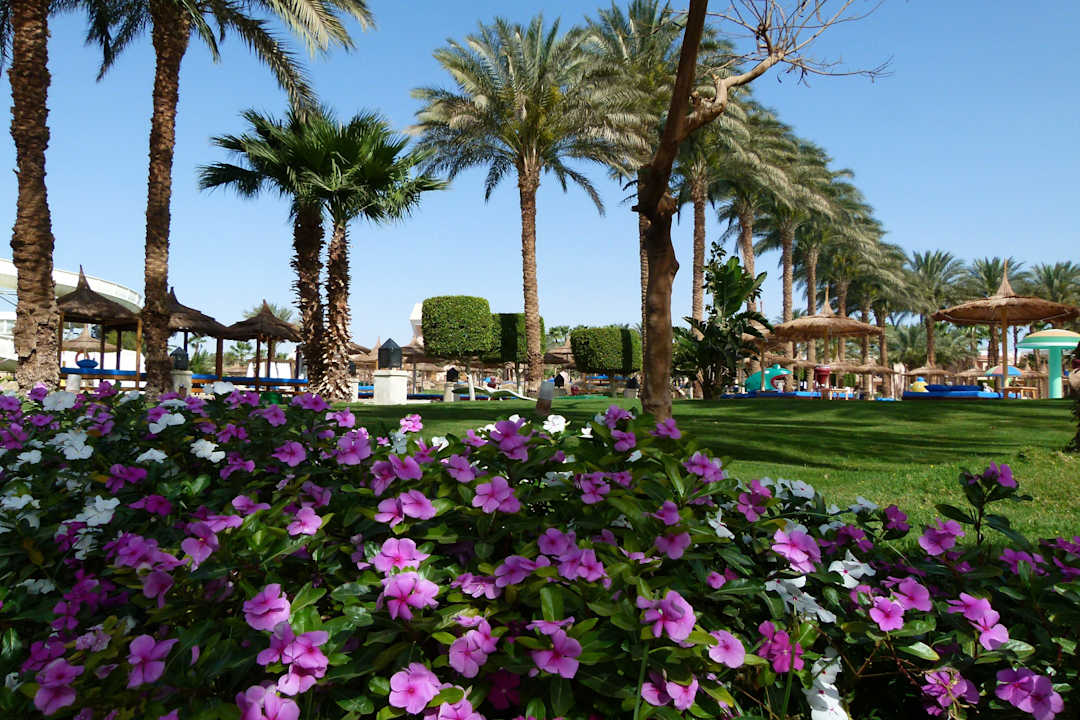 Gepflegt und liebevoll angelegt Beach Albatros Resort