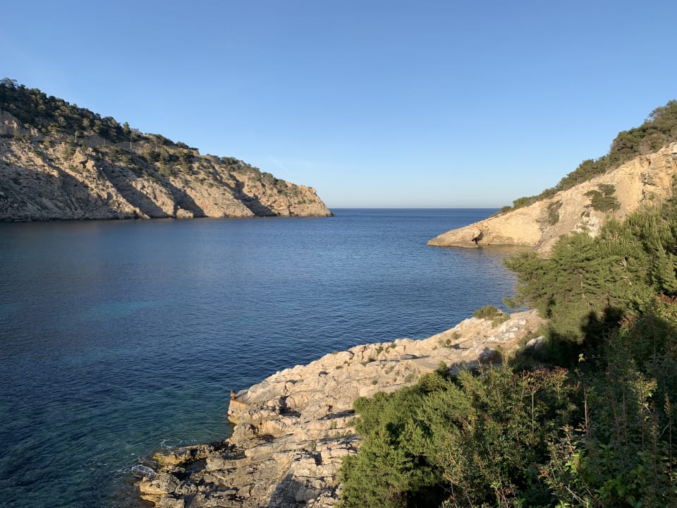 Ausblick Palladium Hotel Cala LLonga - Adults only