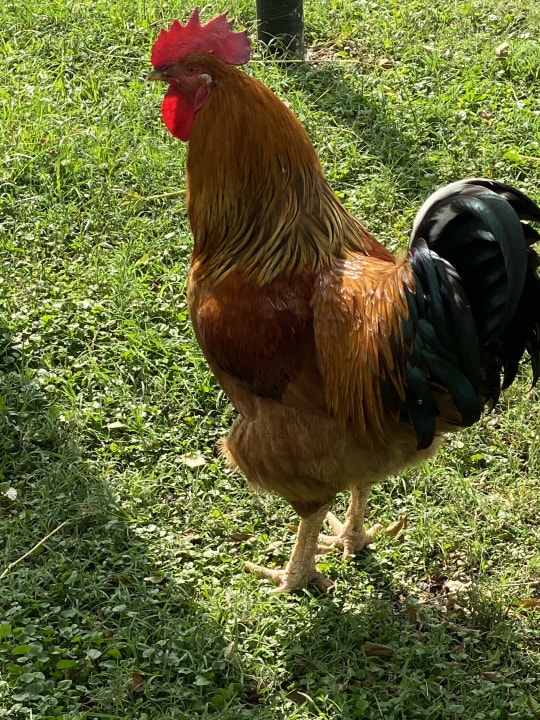 Sonstiges Labranda Alantur Resort