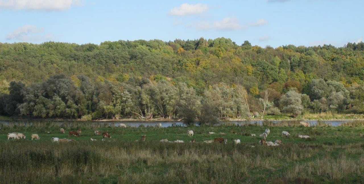 Natur Gästehaus Terezas