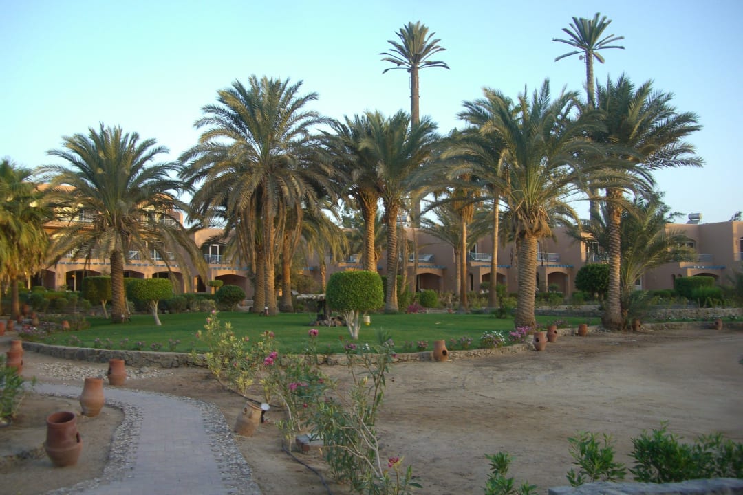 Zimmer mit Meerblick Club Paradisio El Gouna, Red Sea