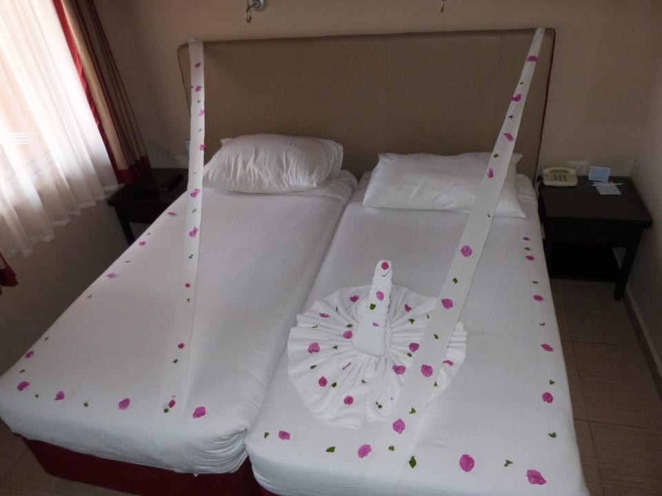 05 Jaz Makadi Oasis Resort