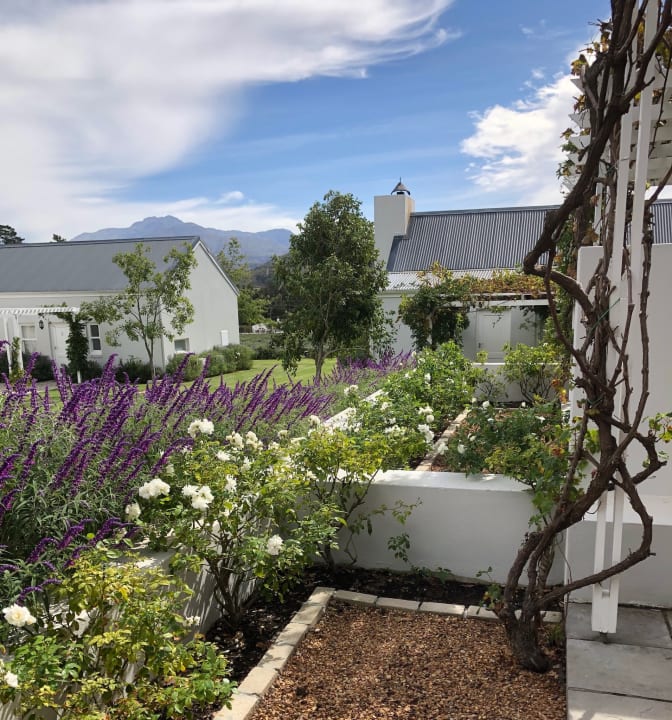 Gartenanlage Guesthouse Lavender Farm