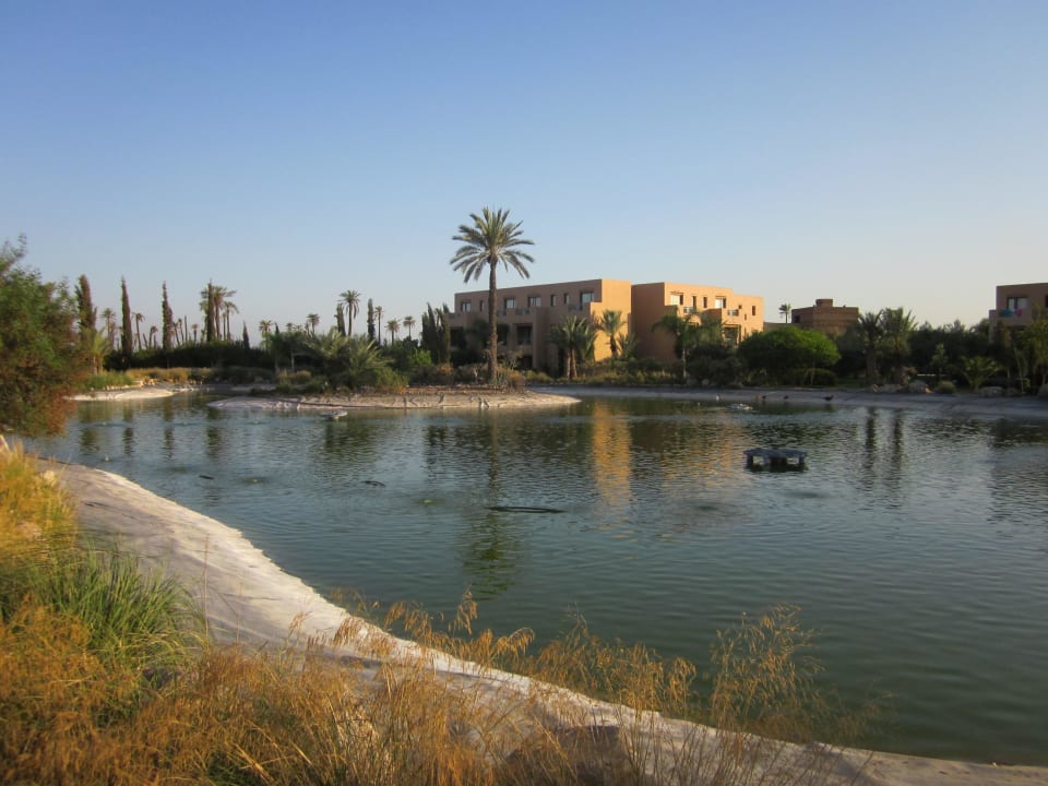 Jardin Valeria Madina Club Resort