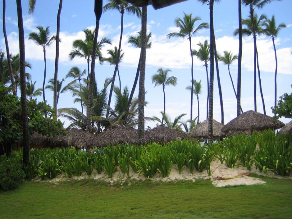 Rundfahrt mit der Bimmelbahn Grand Palladium Punta Cana Resort & Spa