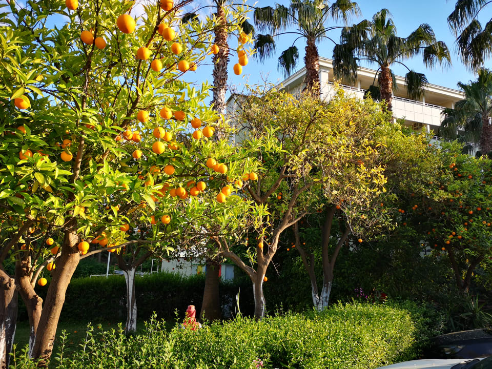 Gartenanlage Seher Kumköy Star Resort & Spa
