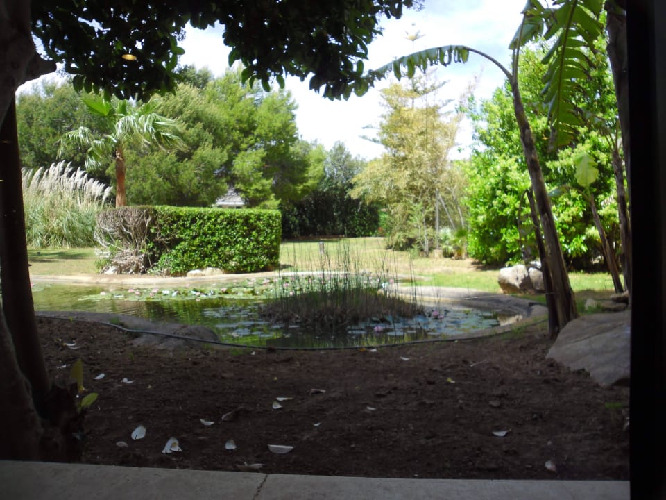 Seerosengarten Welikehotel Marfil Playa
