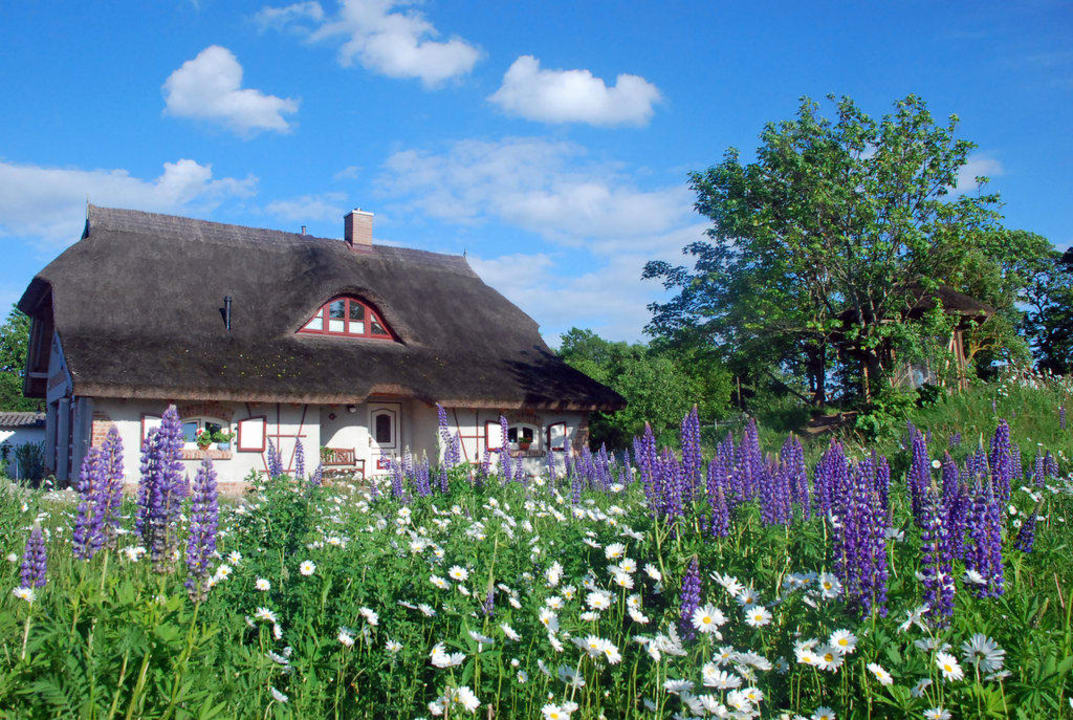 Naturwiese Haus Sonnenwinkel
