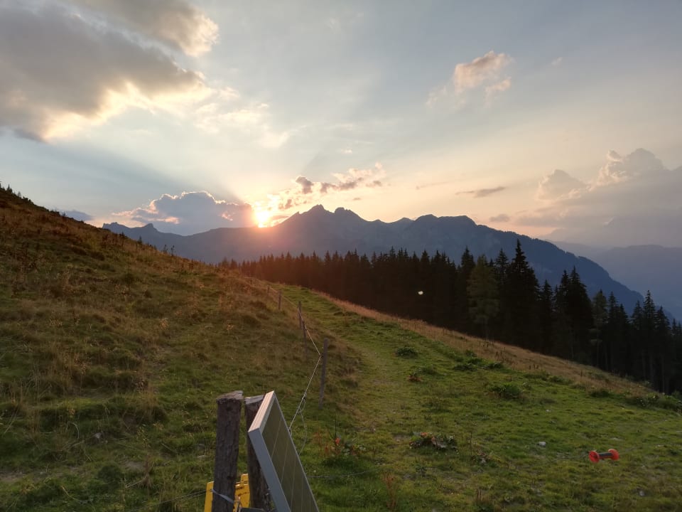 Ausblick Kinderhotel Waldhof