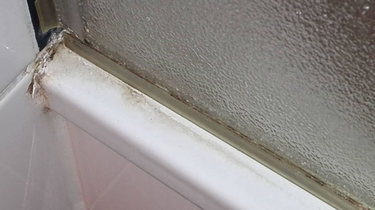 Dusche-kein Kommentar mehr nötig Hotel Wyndham Garden Wismar