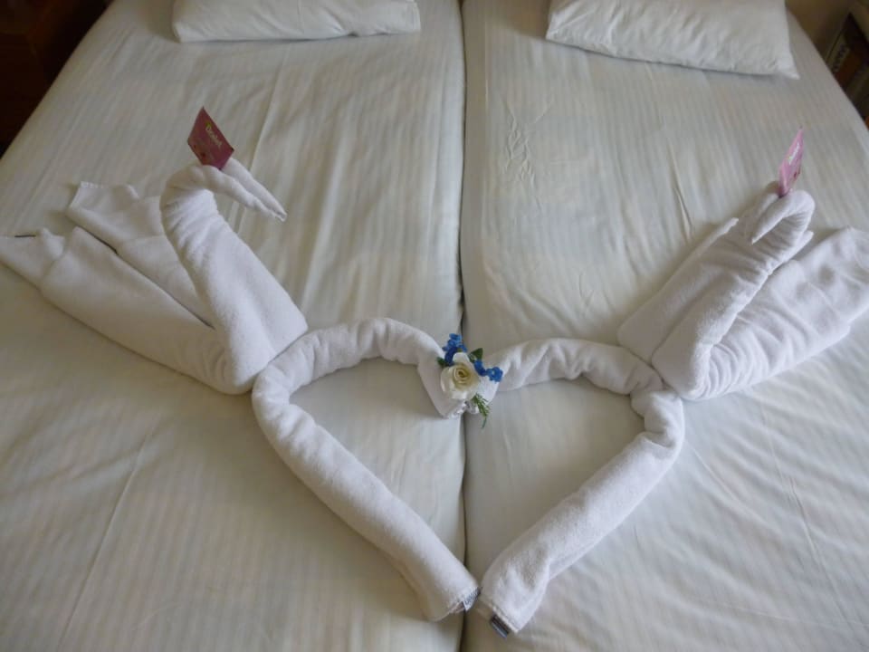 Zu schade um zu Schlafen Side Star Beach