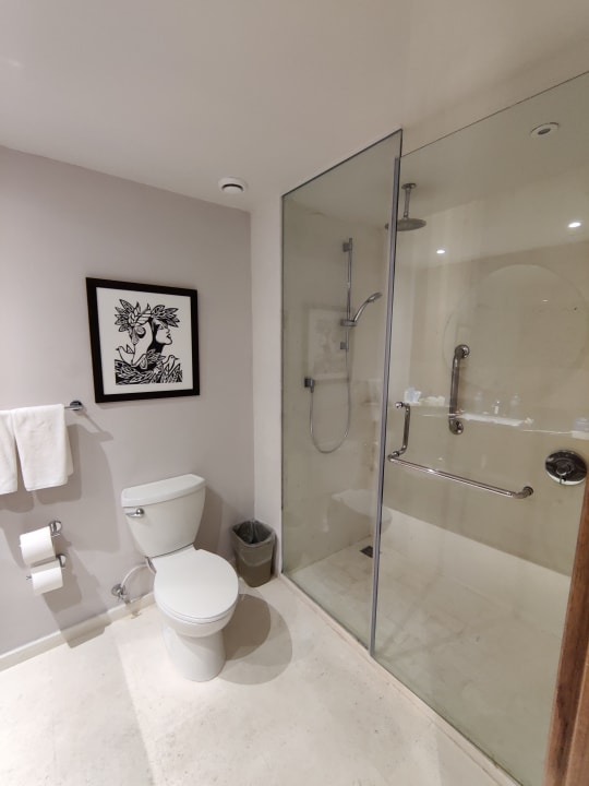 Zimmer Secrets La Romana Resort & Spa - Adult Only