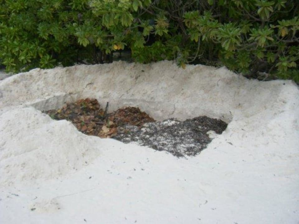 Müllsammelstelle Medhufushi Island Resort