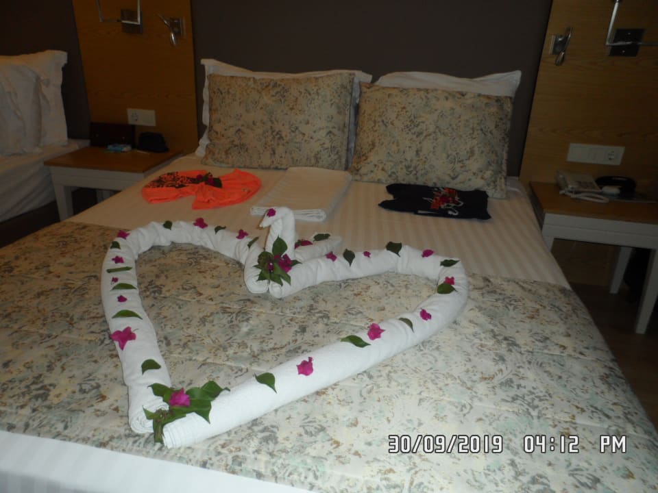 Zimmer Glamour Resort & Spa