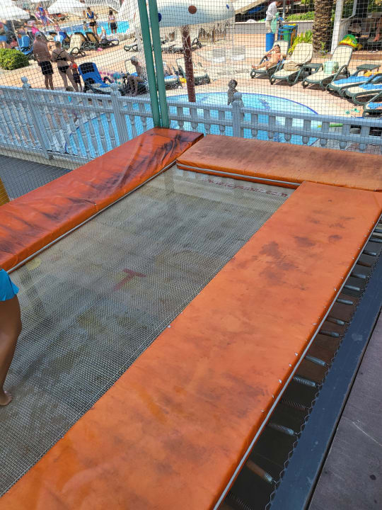 Sport & Freizeit Well Palace Side