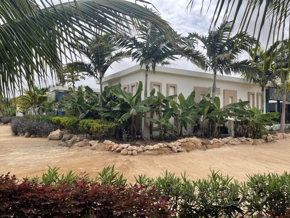 Gartenanlage Hotel Riu Palace Boavista