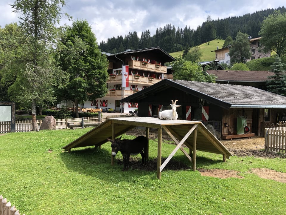 Gartenanlage Landhof Ellmau