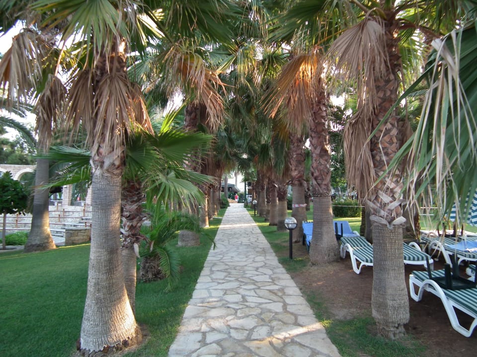 Cesta na pláž Hotel Meryan