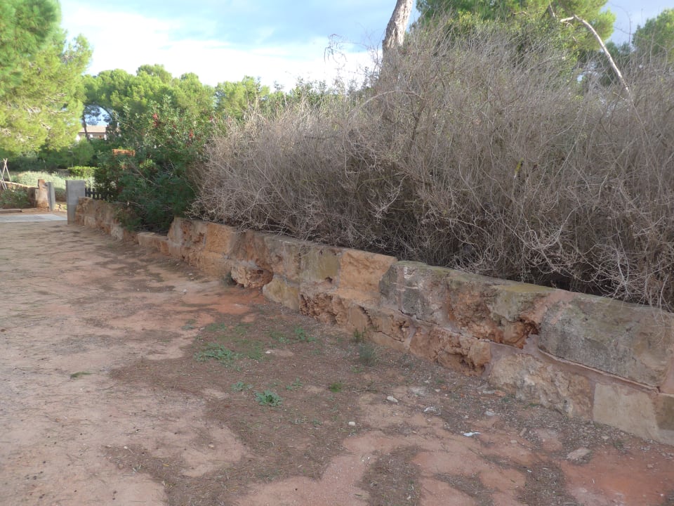 "Gartenanlage in der Nähe" Blau Colònia Sant Jordi (Colonia Sant