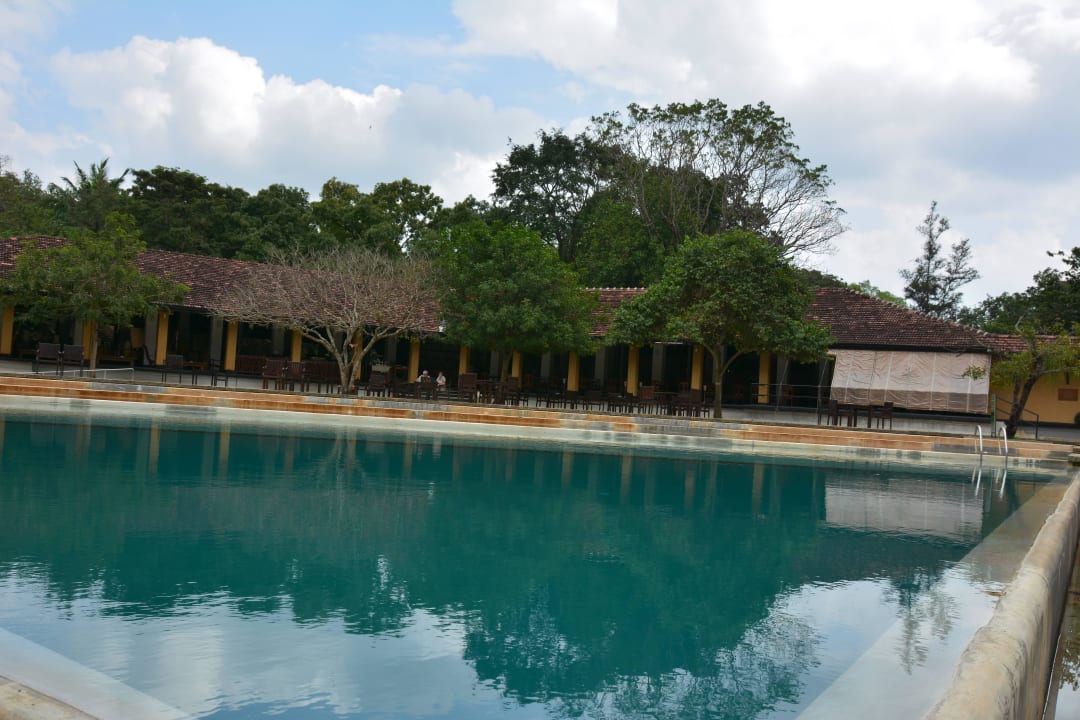 Pool Habarana Village by Cinnamon