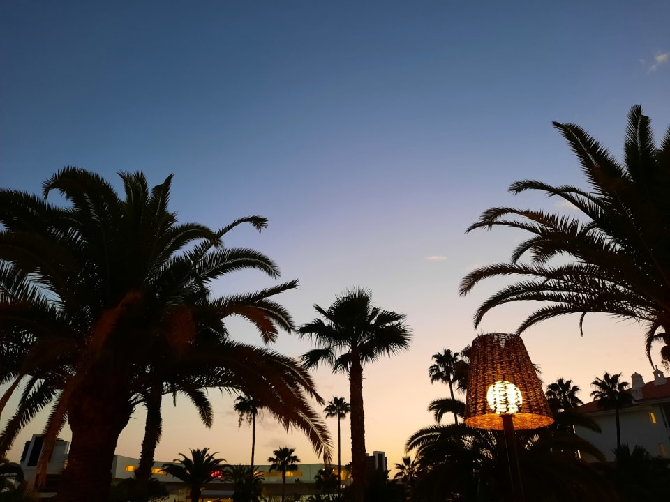 Gartenanlage Hotel Riu Arecas - Adults only