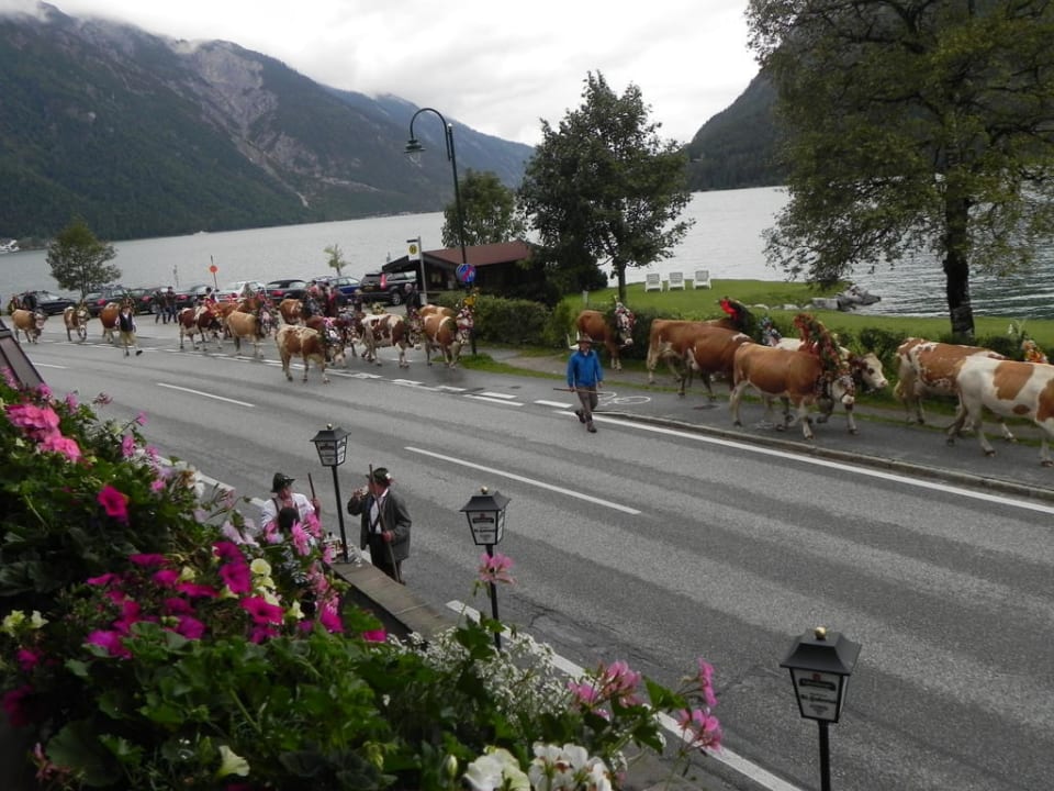 Almabtrieb Gasthof St.Hubertus