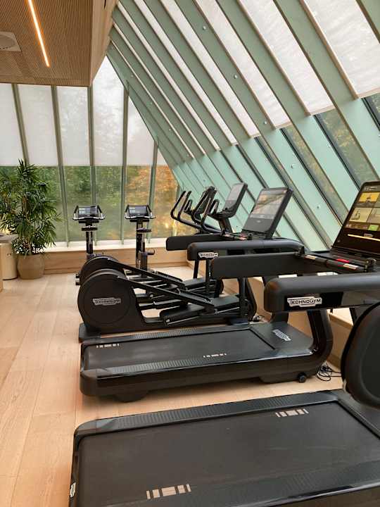 Sport & Freizeit Botanic Sanctuary Antwerp - The Leading Hotels of the World