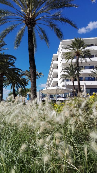 Gartenanlage allsun Hotel Bahia del Este