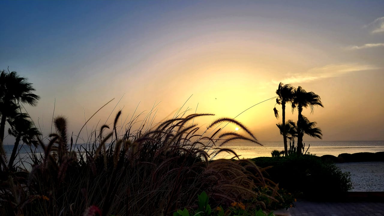 Ausblick Mövenpick Resort El Quseir