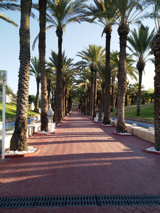 Gartenanlage Monachus Family Resort Sorgun