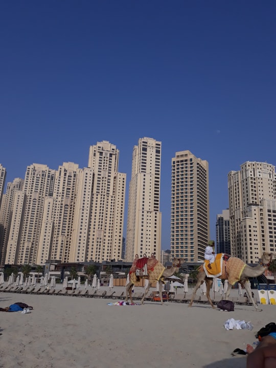 Strand Ramada Hotel and Suites by Wyndham Dubai JBR