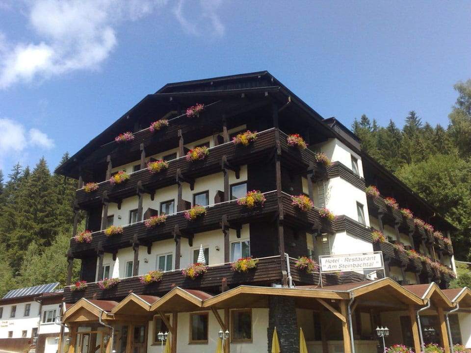 Hotel am Steinbachtal Hotel Am Steinbachtal